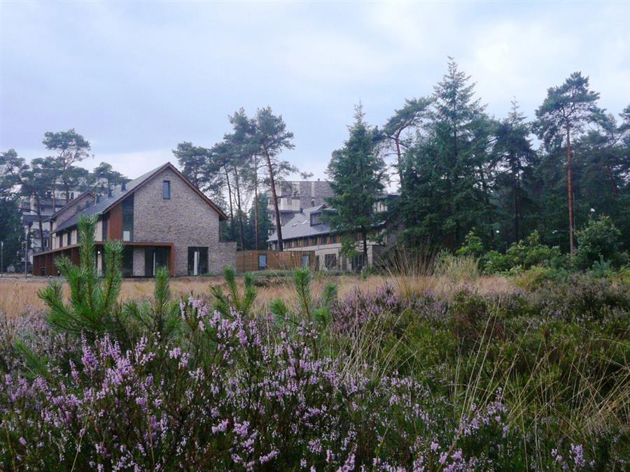 Bericht Als bewoner van Kerckebosch/Hoge Dennen wil ik mijn hele leven kunnen wonen aan het bos bekijken
